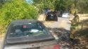 Mustang chase