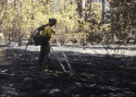 Old Fire In Stanislaus National Forest