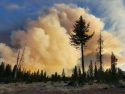 Owens River Fire