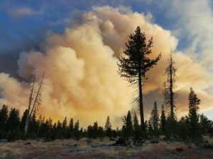 Owens River Fire