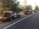 Moccasin Point Campground Investigation