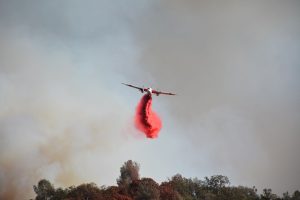 Marshes Fire