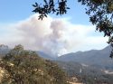 Marshes Fire