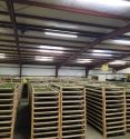 Tons of marijuana found in hangers