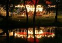 “Country Nights and Carnival Lights” theme for 2017 Calaveras County Fair and Jumping Frog Jubilee