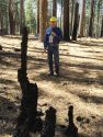 USFS Eric Knapp, PSW Research Station, Tuolumne County Tree Mortality Tour, October 2016