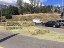 Hay spill on Tuolumne Road at Mono Way intersection