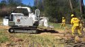 Cal Fire crews removing dead trees