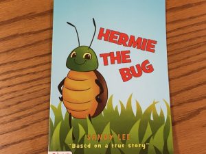 The Local Connection Of Hermie The Bug
