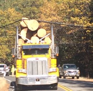 Truck Into Powerlines On Kewin Mill Road