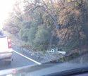 Pickup crash on Tuolumne Road