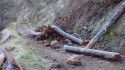 Landslide blocking Lumsden Road in the Stanislaus National Forest