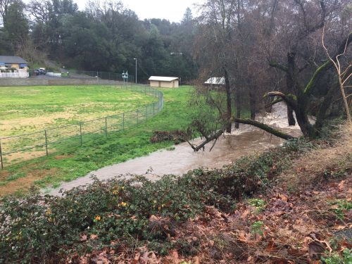 Woods Creek near sports fields (file photo)