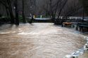Murphys Creek at Algiers St. (File Photo)
