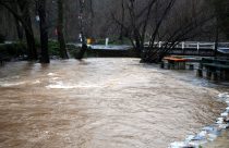 Murphys Creek at Algiers St. (File Photo)