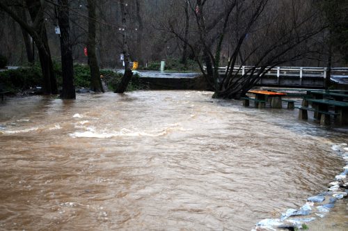 Murphys Creek at Algiers St. (File Photo)