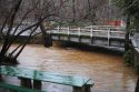 Murphys Creek at Algiers St., (file photo)