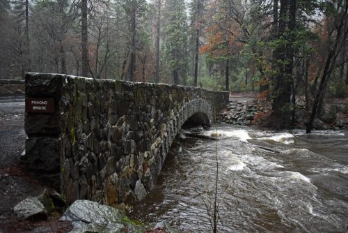 Pohono Bridge In Yosemite