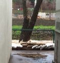 shs sand bags