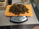 Marijuana found