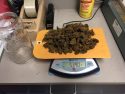 Marijuana found