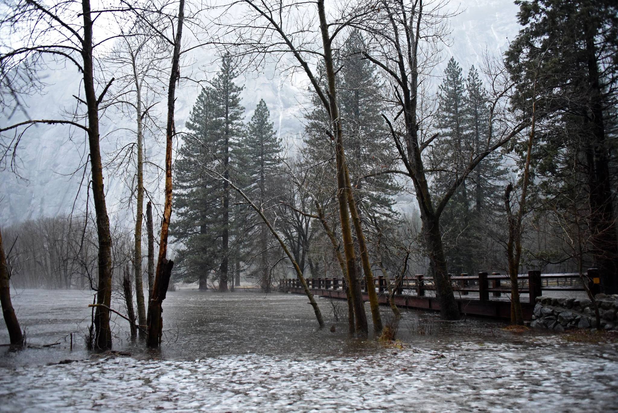 Merced River Flooding In Yosemite National Park