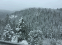 Snow In Sierra