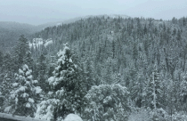 Snow In Sierra