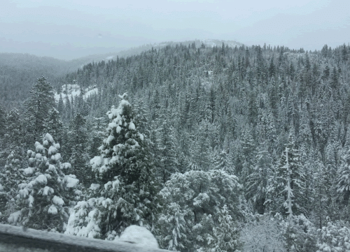 Snow In Sierra