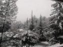 Monday's snow in Phoenix Lake estates