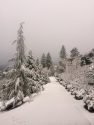 Snow in Soulsbyville (1-12-17)