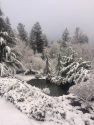 Snow in Soulsbyville (1-12-17)