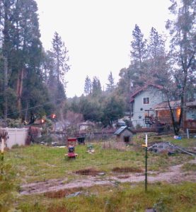 Upper Crystal Falls Tree Down on Geraldine Circle impacting power