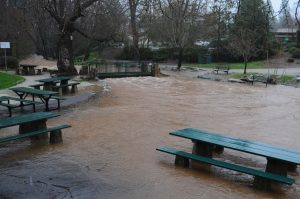 Flooding at Murphys Park, looking upstream from Algiers St., Feb. 20. 2017
