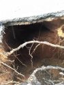 Sinkhole on Big Hill Road near Sierra Glenn Apple Ranch in Sonora