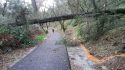 Previous storm Damage on Dragoon Gulch Trail