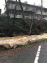 Woods Creek near downtown Sonora, Feb. 20, 2017