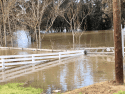 Flooding near Hatch Road and Vivian Road
