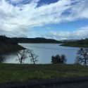 New Melones by Highway 49