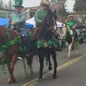 Murphys Irish Day Parade