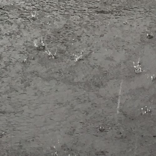 Heavy rain in Sonora