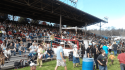 Sonora Celtic Faire