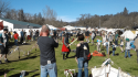 2017 Sonora Celtic Faire