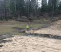 Lakewood Park Dam Was Damaged In 2017