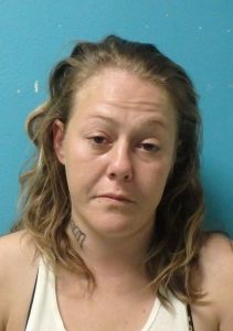 Pair Wanted On Vehicle Theft Captured