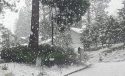 Snow Falling in Twain Harte (File Photo)