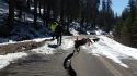 Damage to Big Oak Flat Road in Yosemite