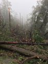 Storm Damage In Twain Harte - Ponderosa Drive