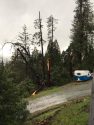 Storm Damage In Twain Harte - Ponderosa Drive