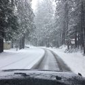 Sunday Snow Near Arnold